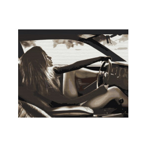 Картина по номерам "Девушка в машине"