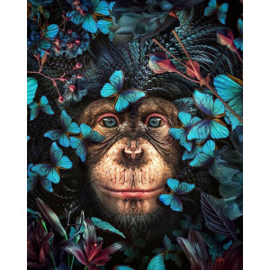 Картина по номерам "Шимпанзе"