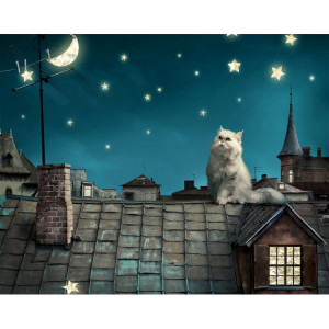 Картина по номерам "Кот на крыше"