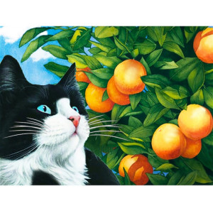 Картина по номерам "Взгляд кошки"