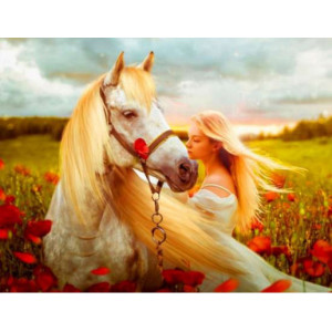 Картина по номерам "Белая лошадь и девушка"