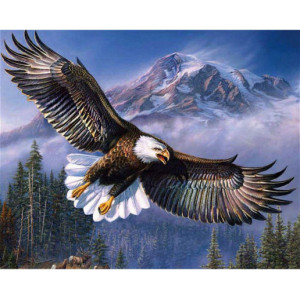 Картина по номерам "Парящий орел"