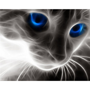 Картина по номерам "Загадочная кошка"