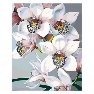 Картина по номерам "Стильные орхидеи"